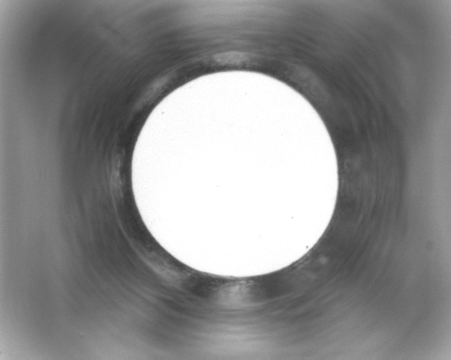 X0000065240116200603172148