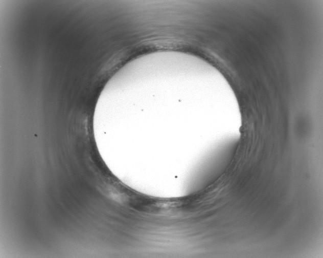 X0000065240117200603172148
