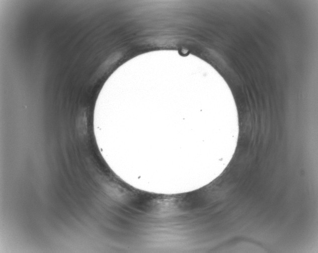 X0000065240120200603172148