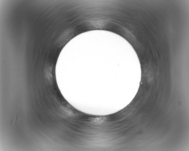 X0000065240122200603172148