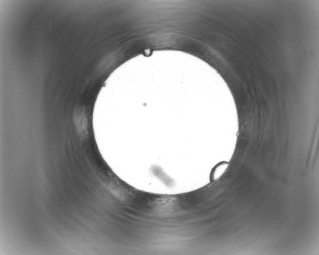 X0000065240124200603172148