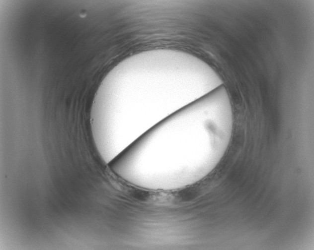 X0000065240125200603172148
