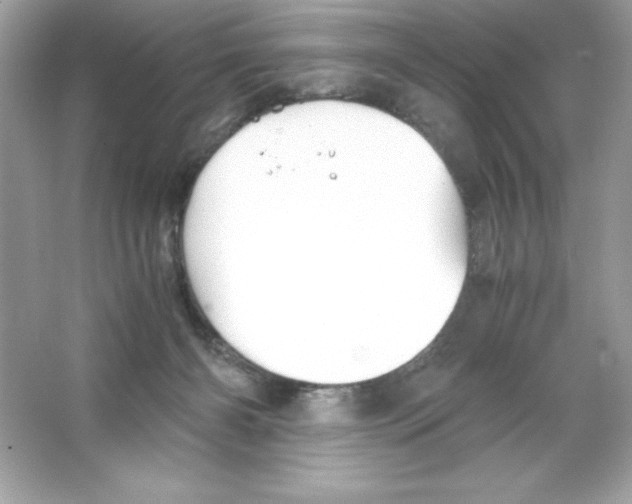 X0000065240126200603172148