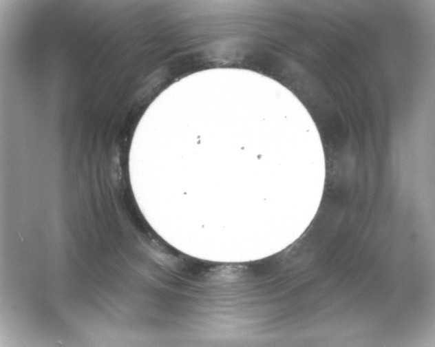 X0000065240128200603172148