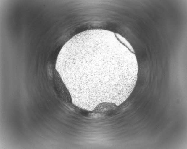 X0000065240135200603172148