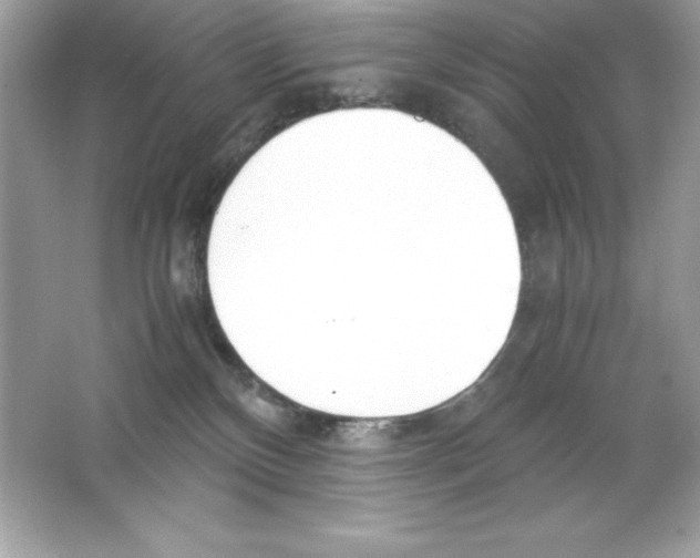 X0000065240136200603172148