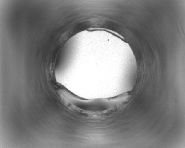 X0000065240137200603172148