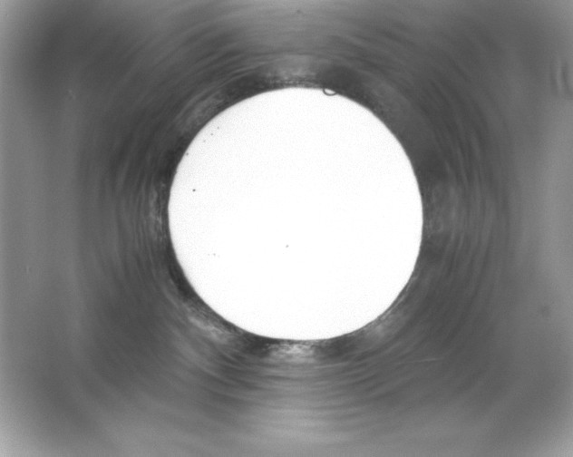 X0000065240140200603172148