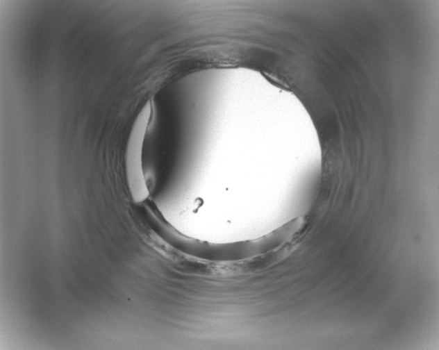 X0000065240141200603172148