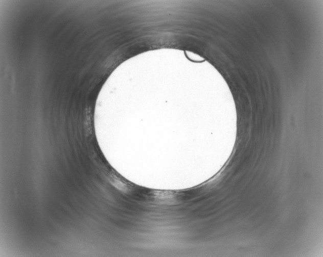 X0000065240144200603172148