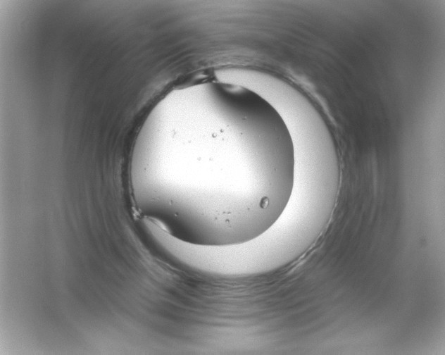 X0000065240154200603172147