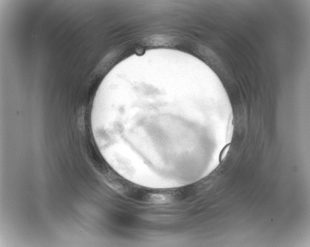 X0000065240167200603172147