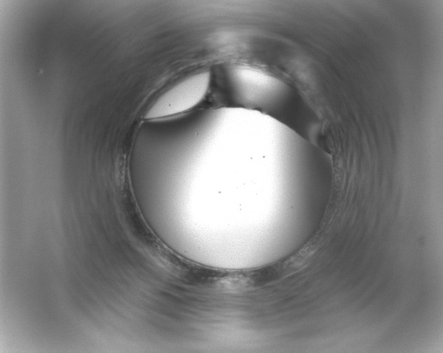 X0000065240168200603172147