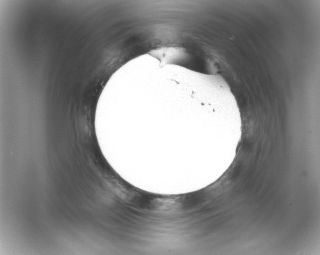 X0000065240170200603172147