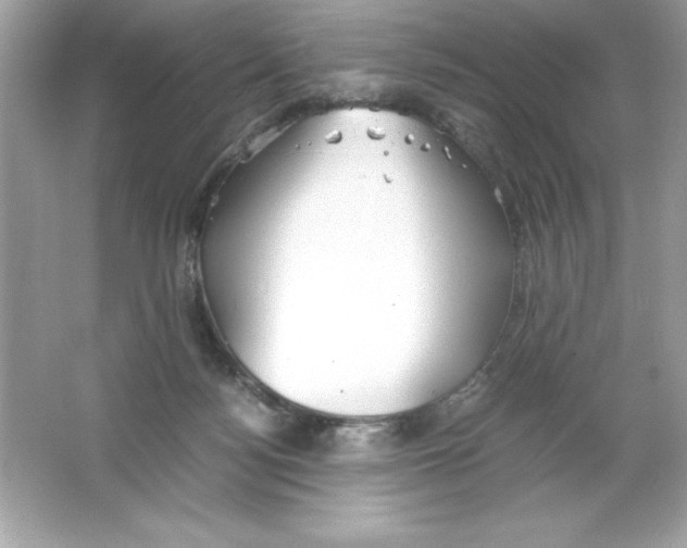 X0000065240172200603172147