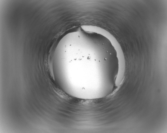 X0000065240186200603172148