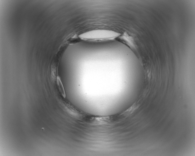 X0000065240188200603172148