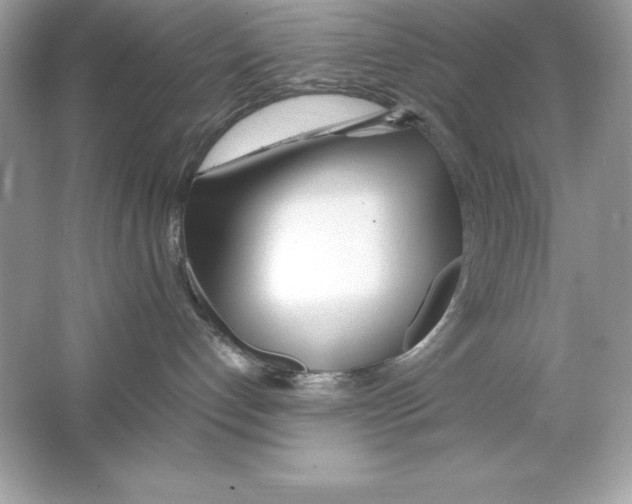 X0000065240192200603172148