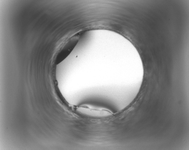 X0000065240193200603172147