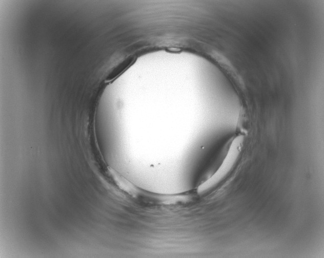 X0000065240201200603172147