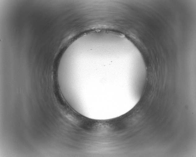 X0000065240207200603172147