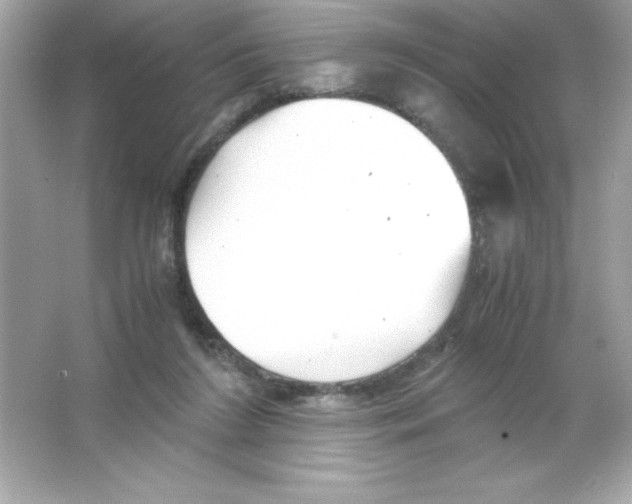 X0000065240212200603172147