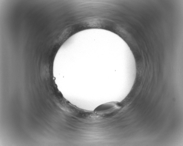 X0000065240213200603172147