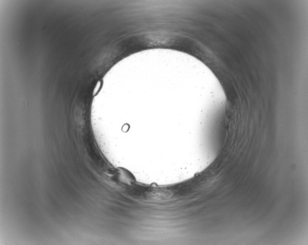 X0000065240215200603172147