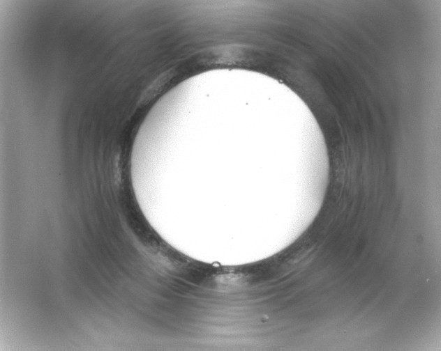 X0000065240216200603172147