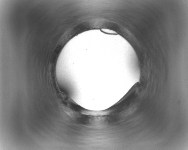 X0000065240217200603172147