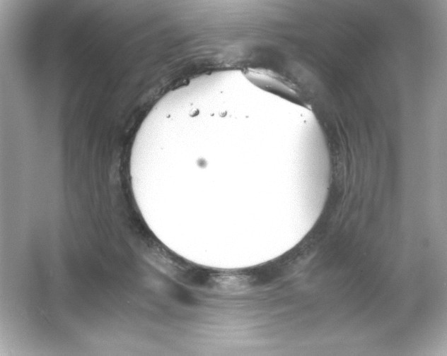 X0000065240221200603172146