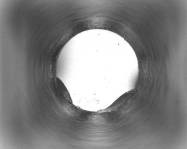 X0000065240224200603172146