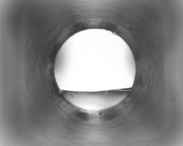 X0000065240225200603172146