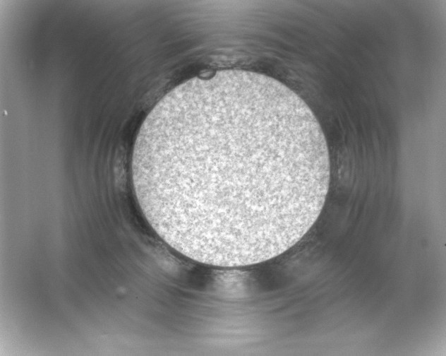 X0000065240226200603172146