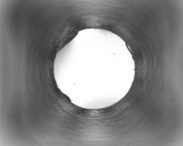 X0000065240229200603172146