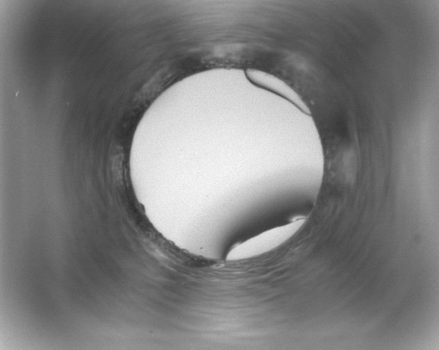 X0000065240231200603172146
