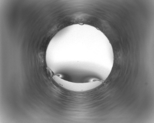 X0000065240232200603172146