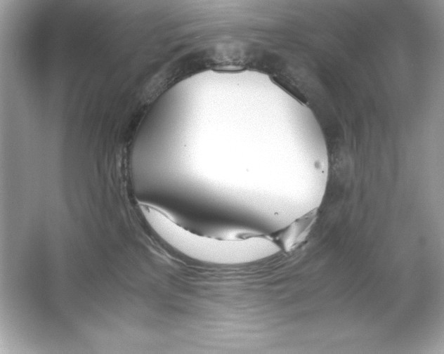 X0000065240233200603172146