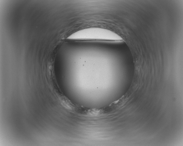 X0000065240235200603172146