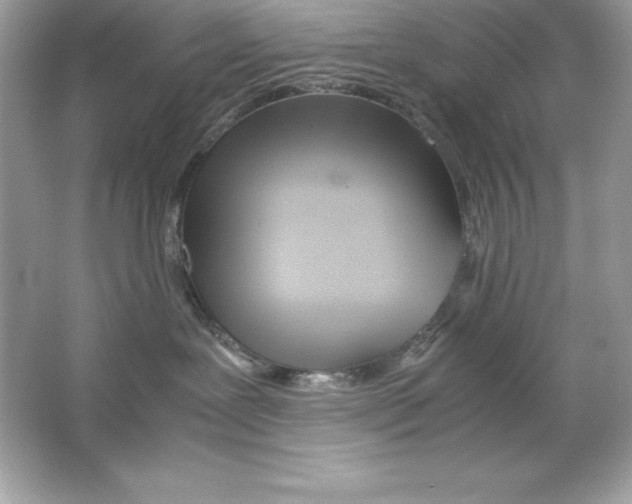 X0000065240239200603172146
