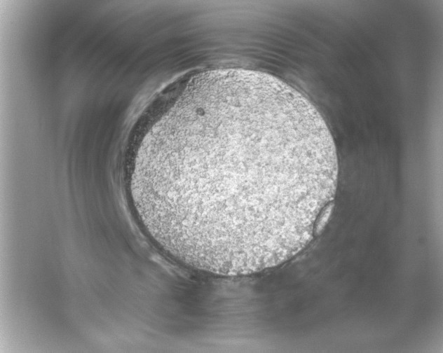 X0000065240241200603172145