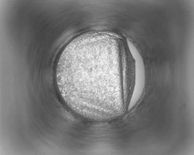 X0000065240243200603172145
