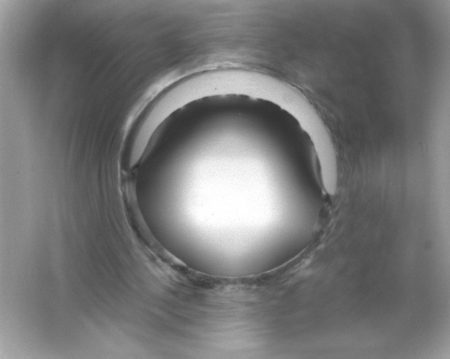 X0000065240244200603172145