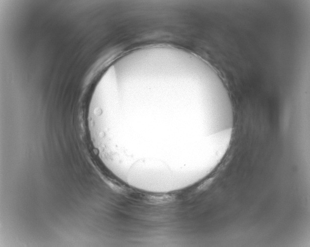 X0000065240245200603172145