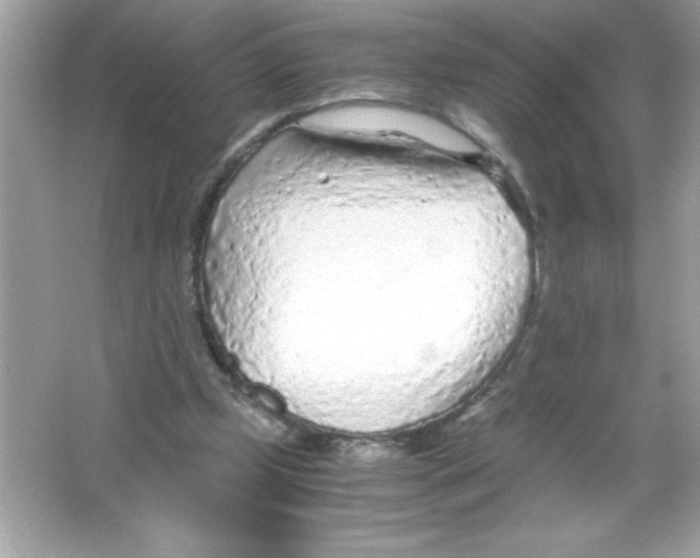 X0000065240249200603172145