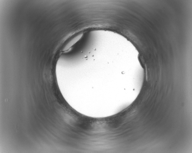 X0000065240252200603172146