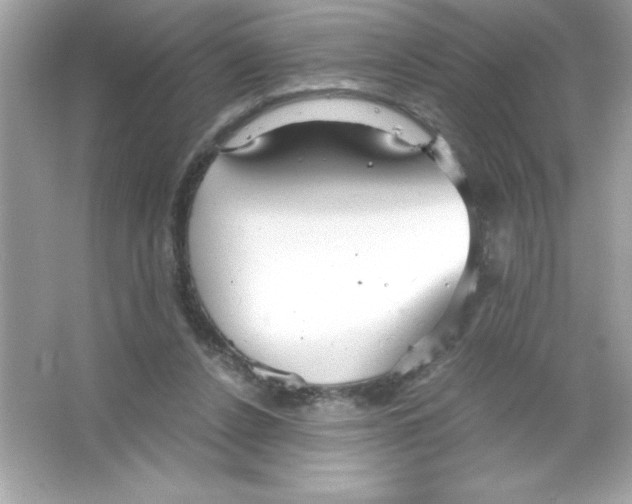 X0000065240256200603172146