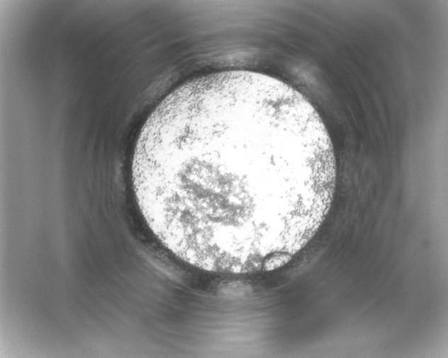 X0000065240258200603172146