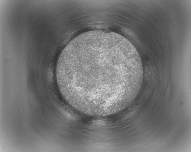 X0000065240259200603172146