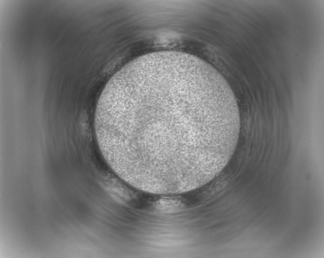 X0000065240270200603172146